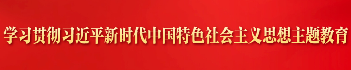 学习贯彻习近平新时代中国特色社会主义思想主题教育