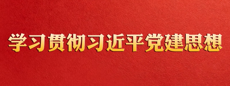 学习贯彻习近平党建思想