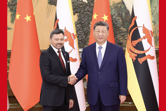 习近平会见文莱王储比拉