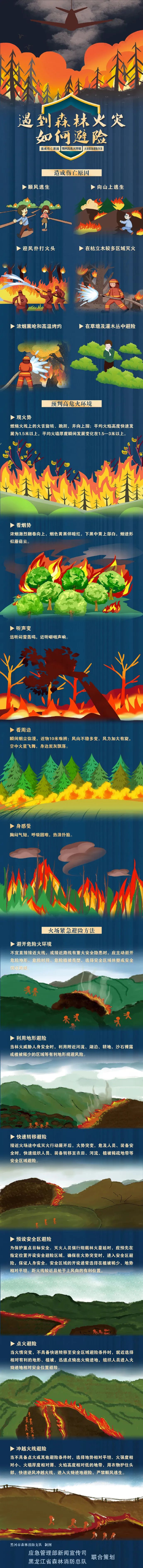 多地森林火险预警！关于森林防火，这些知识要掌握