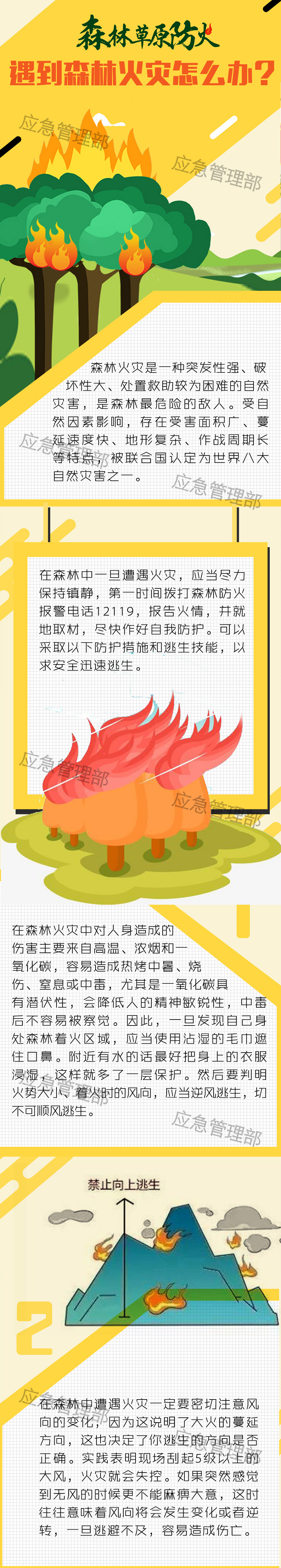 图说：遇到森林火灾怎么办？–中华人民共和国应急管理部