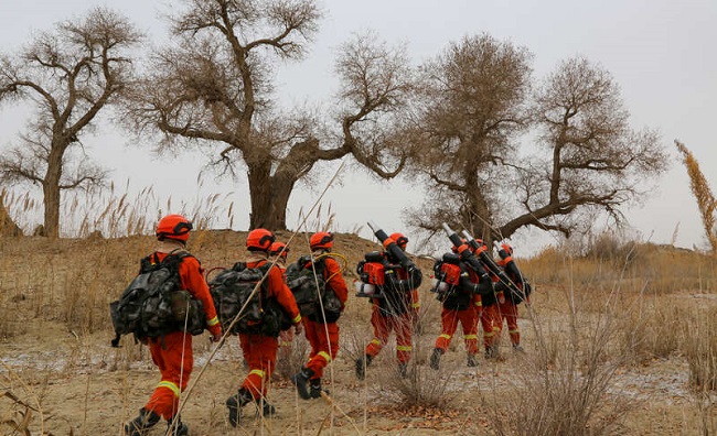 新疆森林消防总队巴州支队织牢防火“安全网”